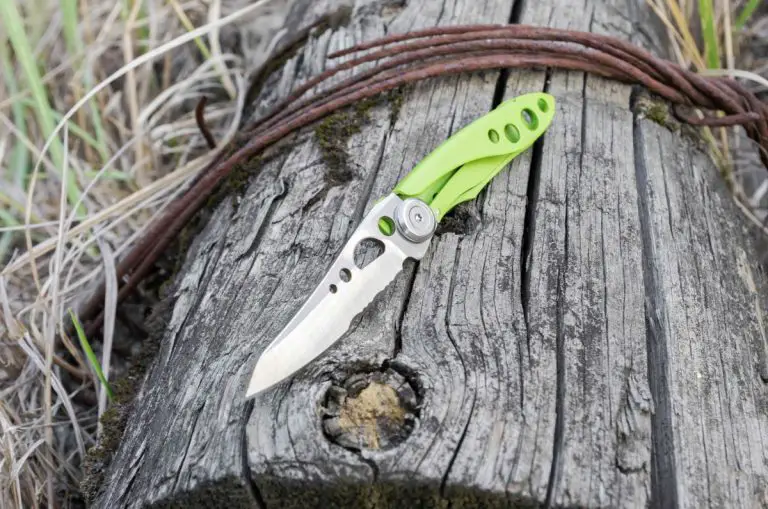 7 Reasons that Pocket Knives Have Holes in Their Blade Knife Manual