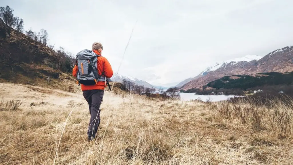 Hiking with a Survival Knife What You Need to Know Knife Manual