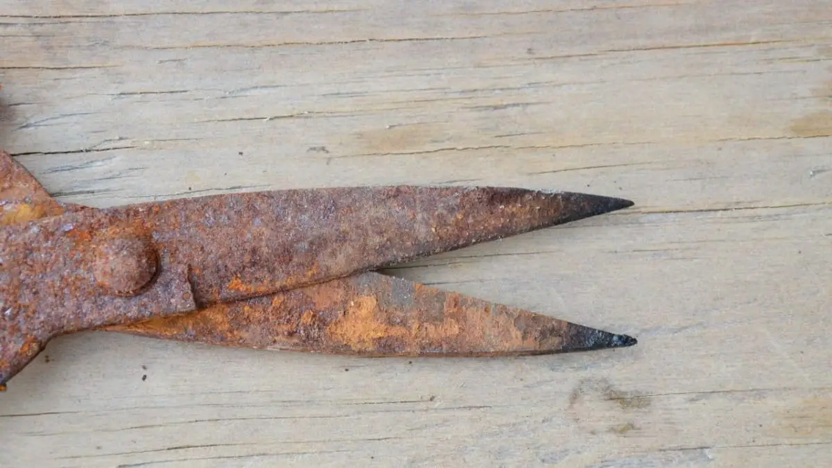 Why Do Knives Rust? (and How to Prevent it from Happening) Knife Manual