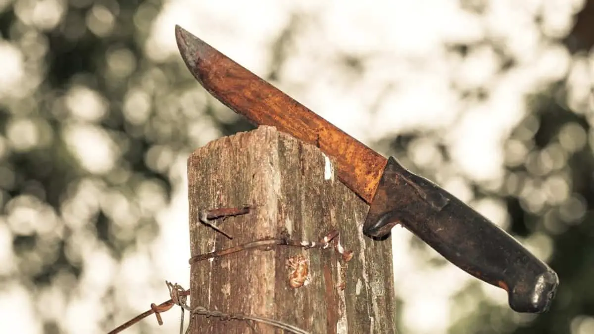 Why Do Knives Rust? (and How to Prevent it from Happening) Knife Manual