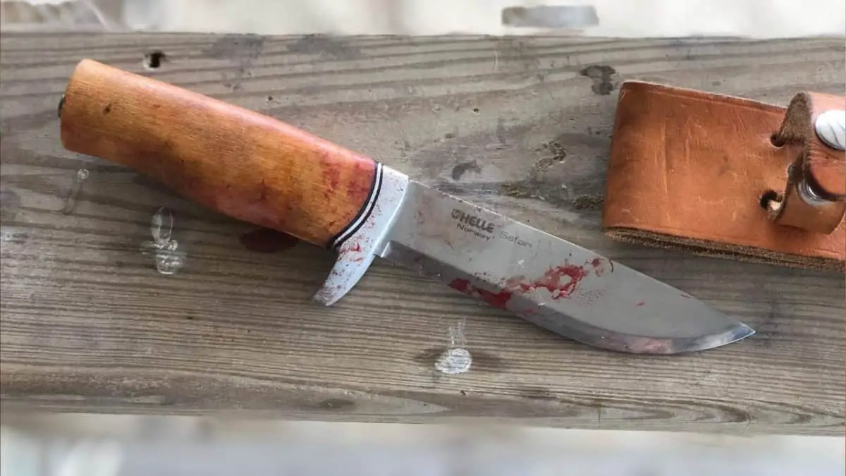 What to Look for in an Excellent Skinning Knife A Complete Guide