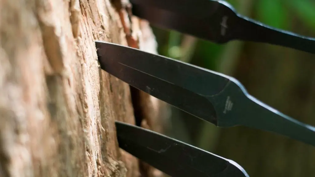 Knife Throwing Competitions Is It Even Considered a Sport? Knife Manual