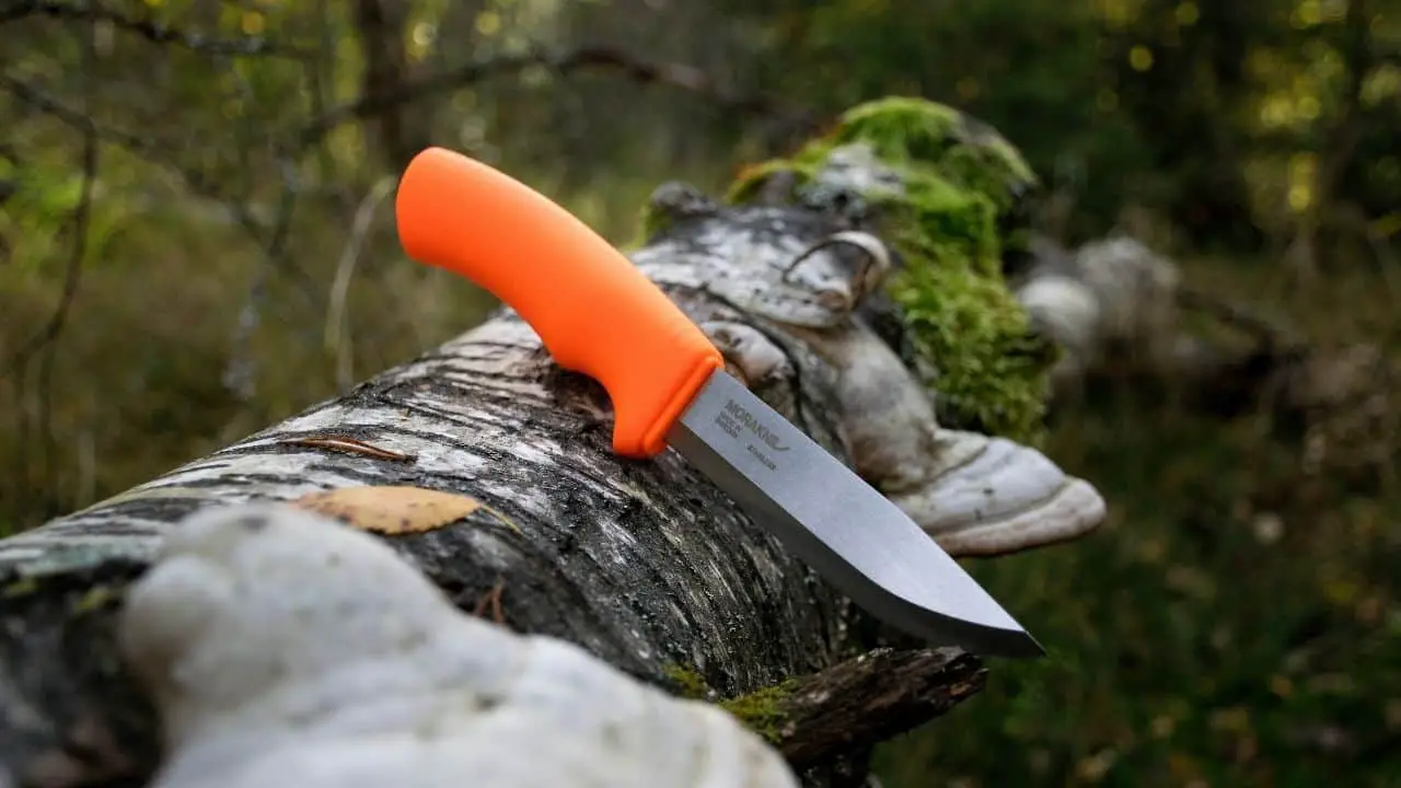 photo of a fixed blade knife with orange handle sitting on a log with fungi