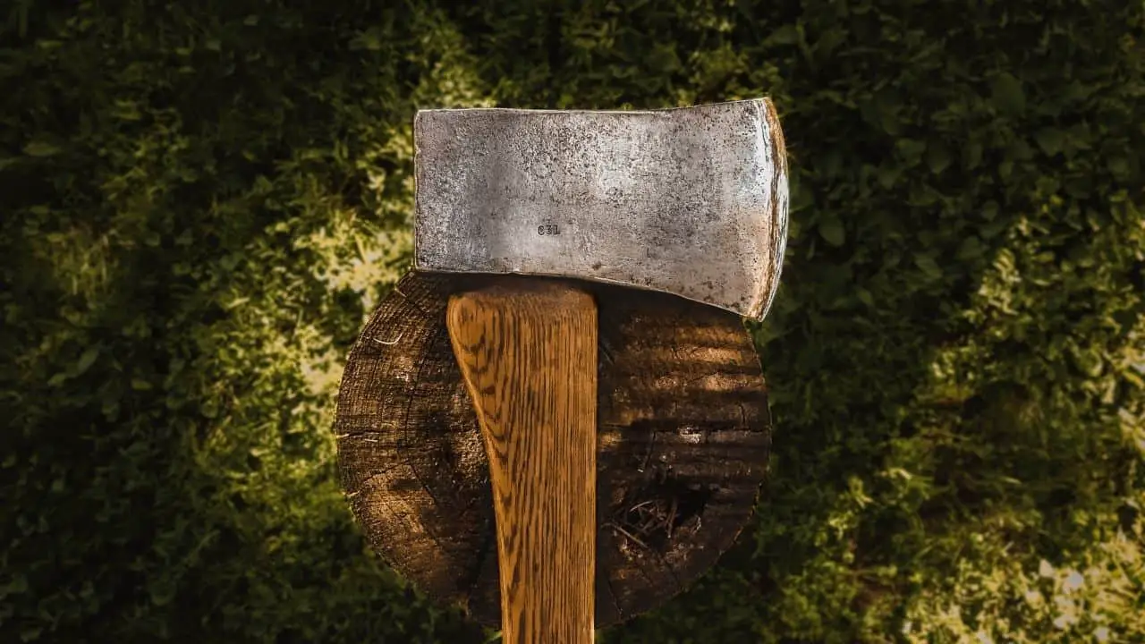 photo of a hatchet blade laying on a stump of wood with green mossy background