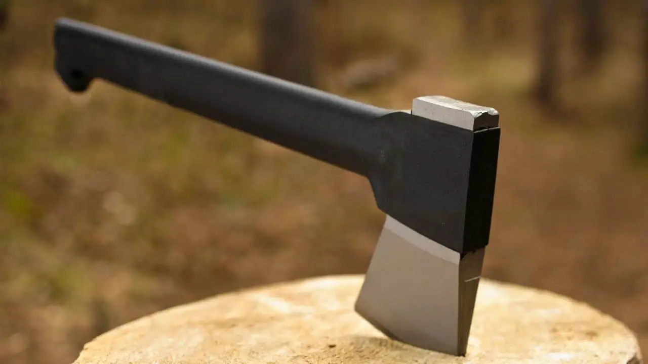 photo of a black and silver hatchet stuck in a tree stump