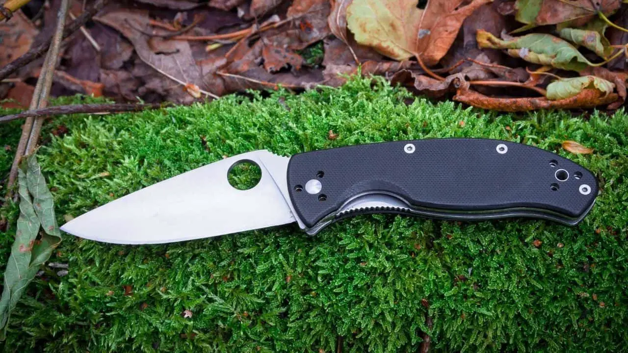 photo of a spyderco knife on a mossy log open