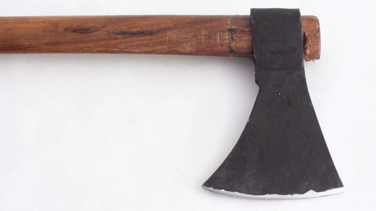 photo of a wooden-handled hatchet on a white background