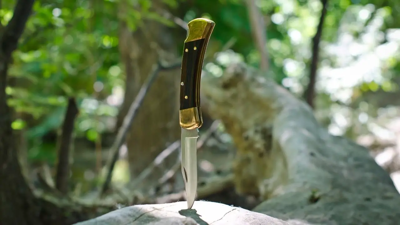 photo of a buck 110 knife stabbed into a piece of wood and standing on end