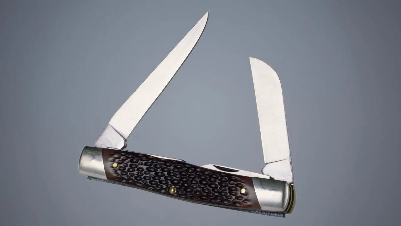 photo of a case pocket knife with two blades open on a gray background