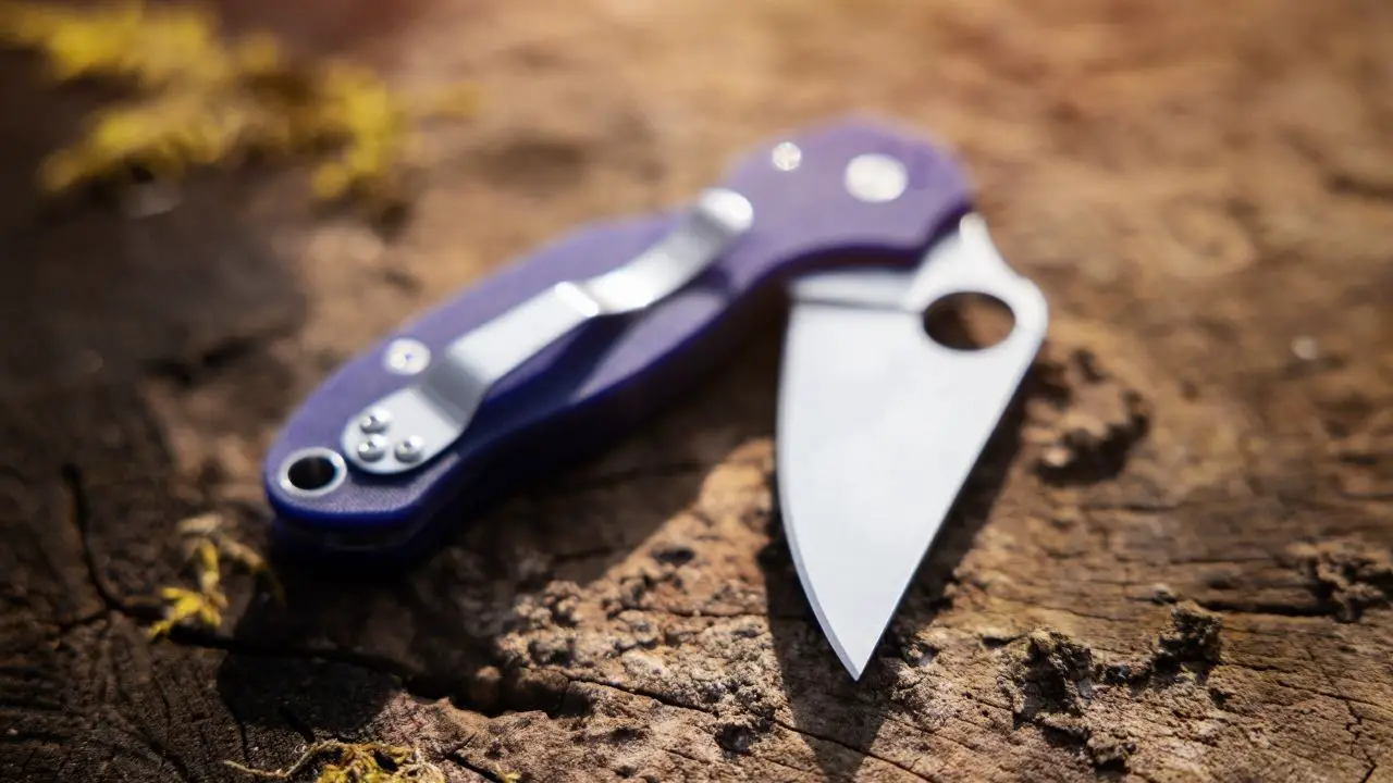 photo of a blue and silver spyderco knife half open on a piece of wood