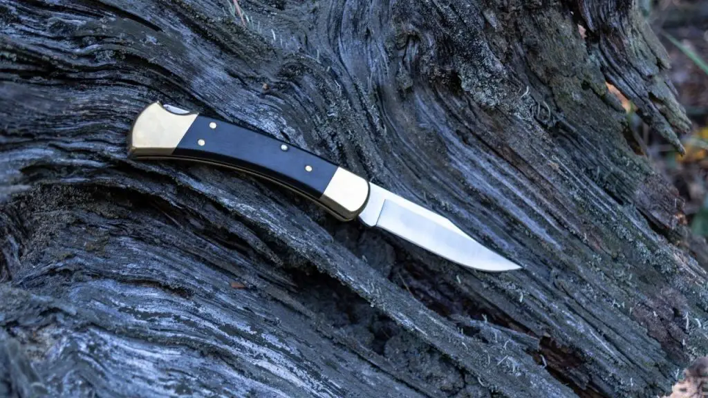 Buck Knives Are They Any Good and Worth Your Money? Knife Manual