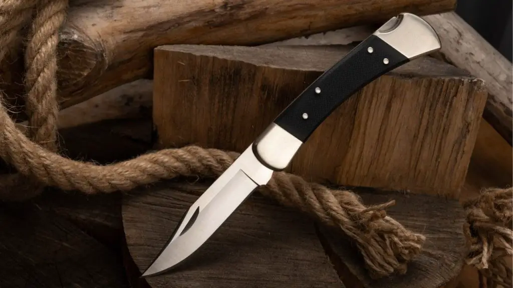 photo of buck 110 folding knife leaning on some wood
